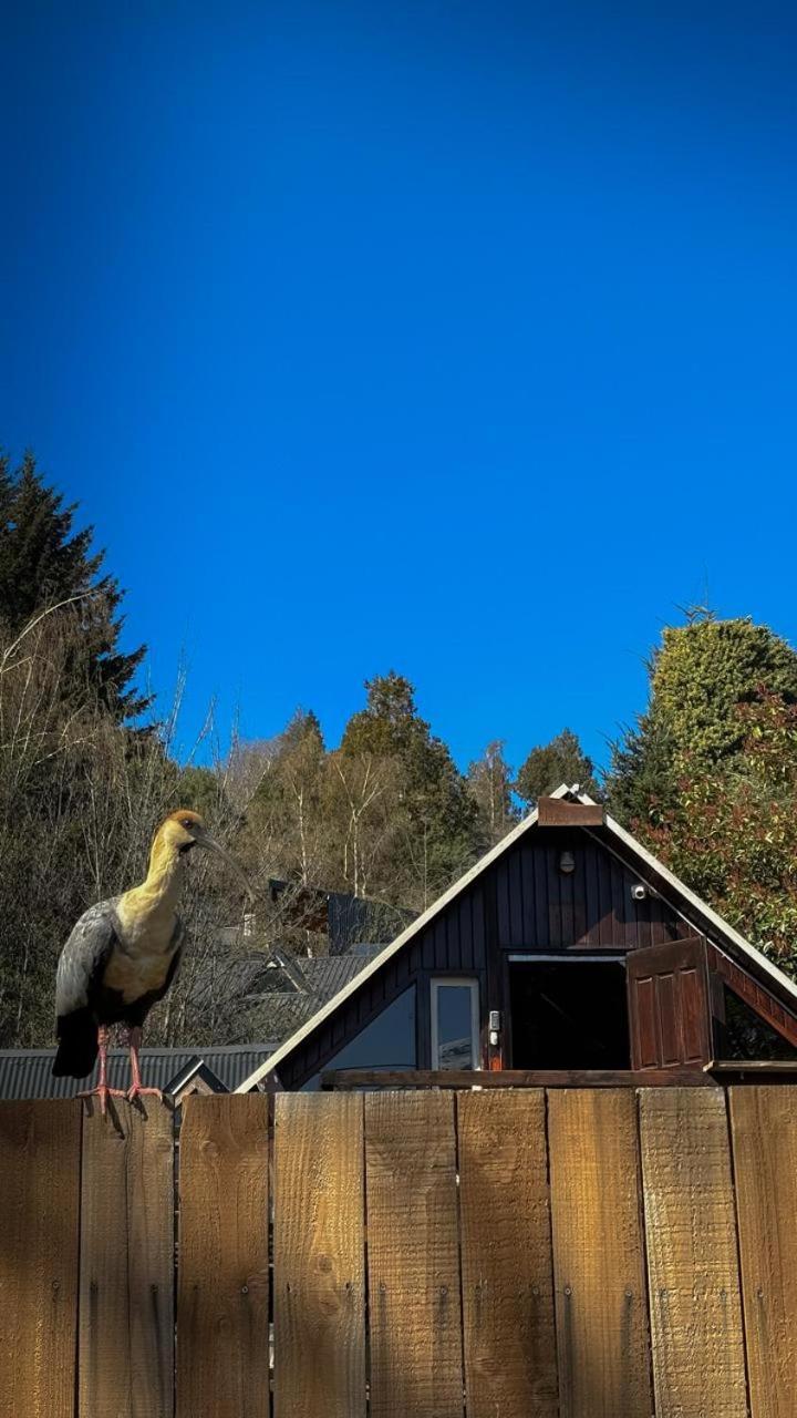 Alaska Patagonia Hostel San Carlos de Bariloche Luaran gambar